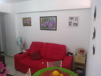 imagem-miniatura